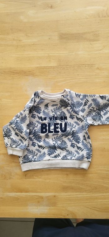 Pull TAO