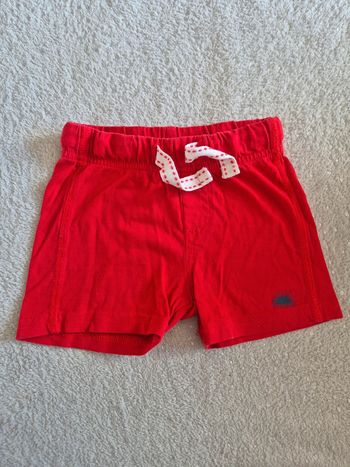 Short coton 12 mois