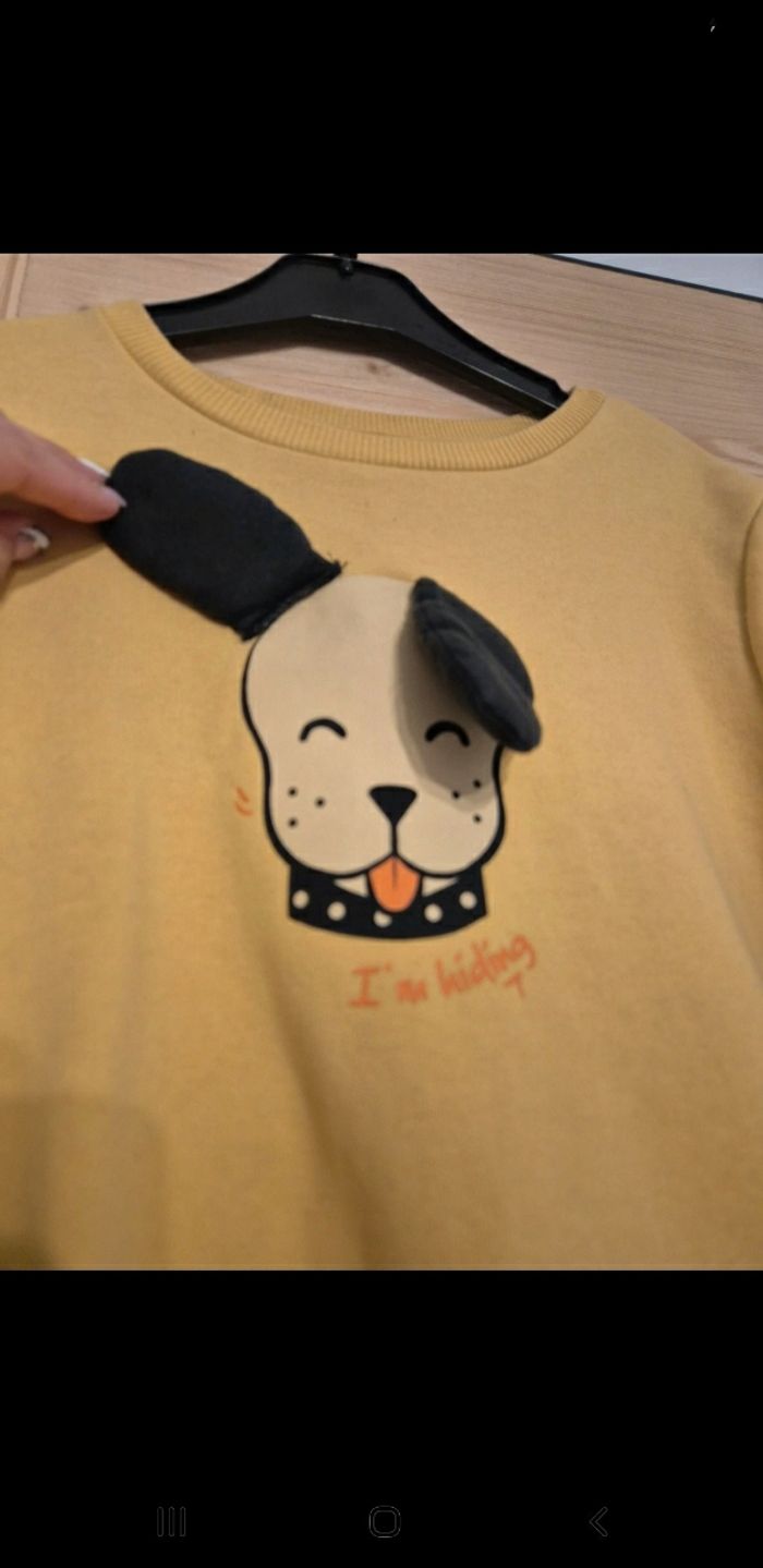 Pull chien - photo numéro 4