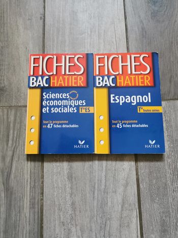 Lot de Fiches BAC Hatier