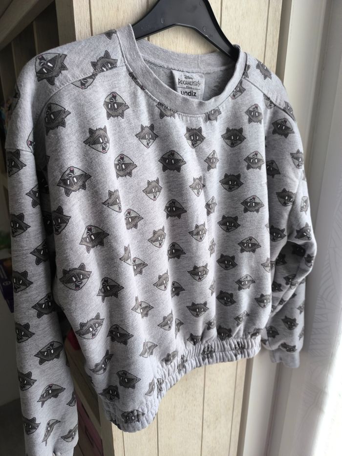 Pull/sweat col rond doublé pilou - photo numéro 2