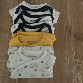 Lot de 6 bodies manche courte