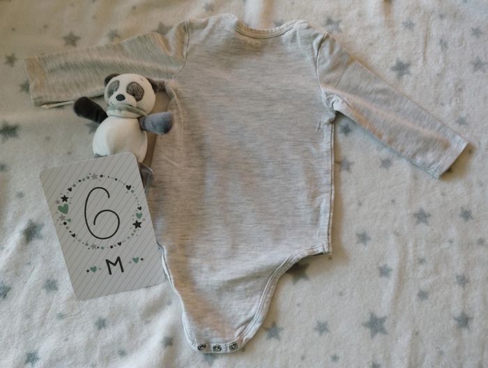 Lot de 5 bodies fin ML - Theme Dino - TAO - photo numéro 15