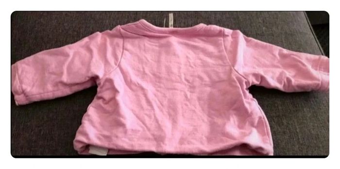 Gilet rose orchestra avec un lapin taille 1 mois - photo numéro 10