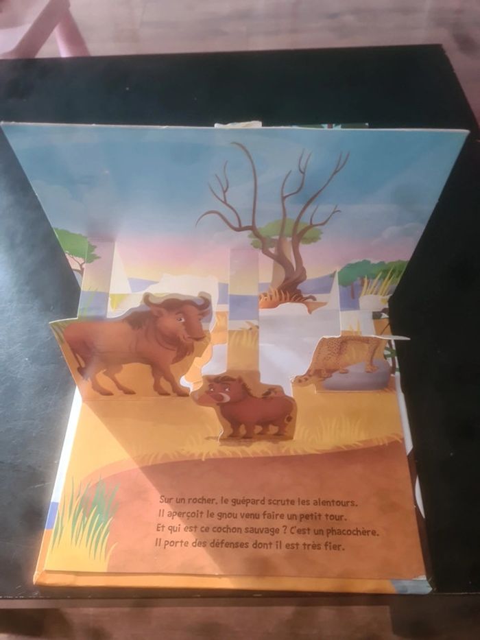 Dans la savane en pop-up - photo numéro 5