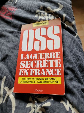 Oss la guerre secrète en France