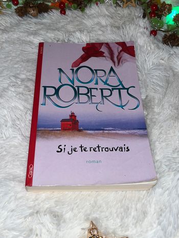 Livre Si je te retrouvais