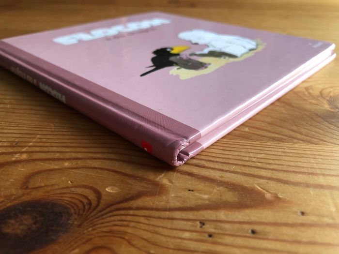 Livre Flocon a du chagrin - photo numéro 8