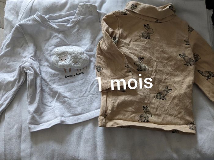 Lot 2 haut manches longues 1 mois
