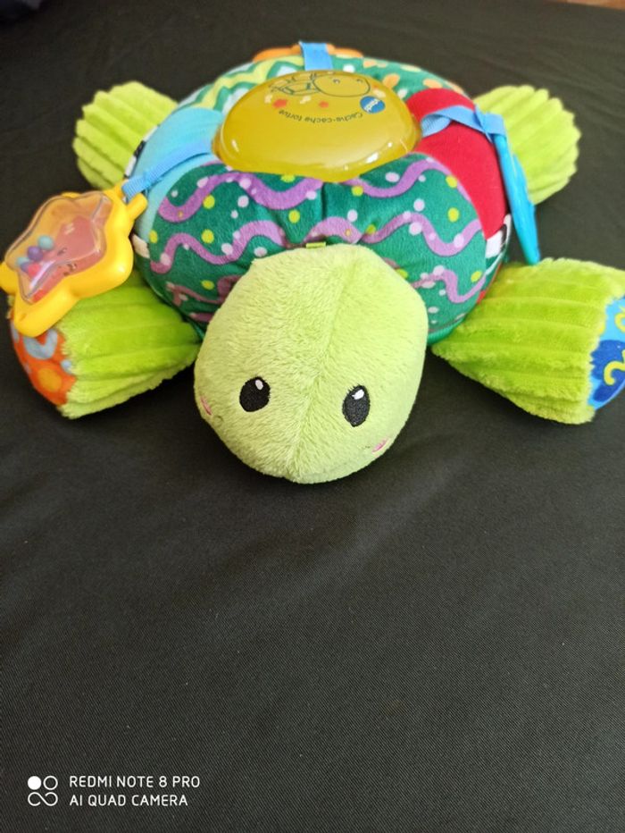 Cache cache Tortue - photo numéro 2