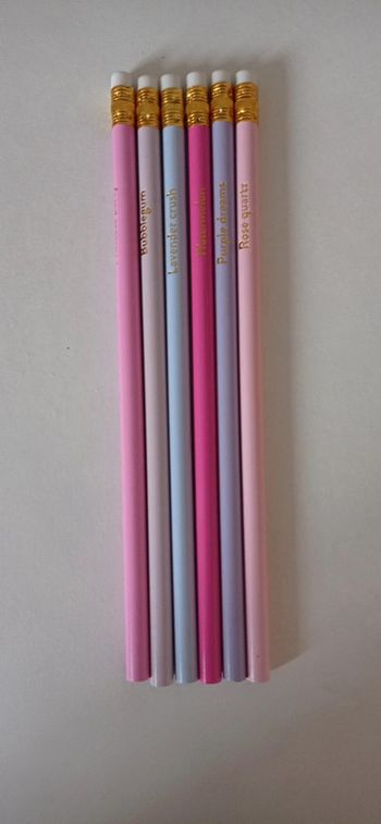 Lot de 6 crayons à papier girly