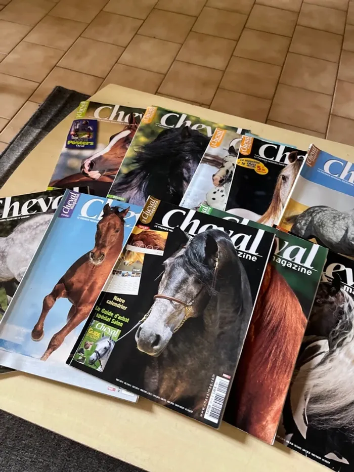 Lot de 10 anciens magazines sur les chevaux - photo numéro 3
