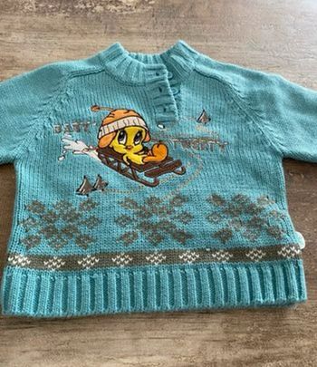Pull laine hiver looney tunes neuf bébé unisexe garçon ou fille