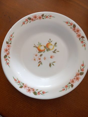 Lot 2 assiettes à soupe