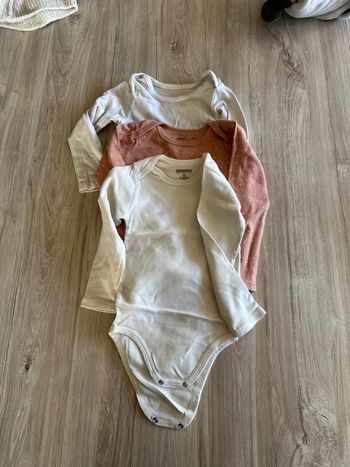 Lot 3 bodies