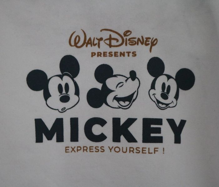 Ensemble pull Disney et pantalon Creeks 9 mois - photo numéro 6