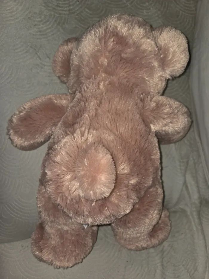 Ours histoire d'ours - photo numéro 4