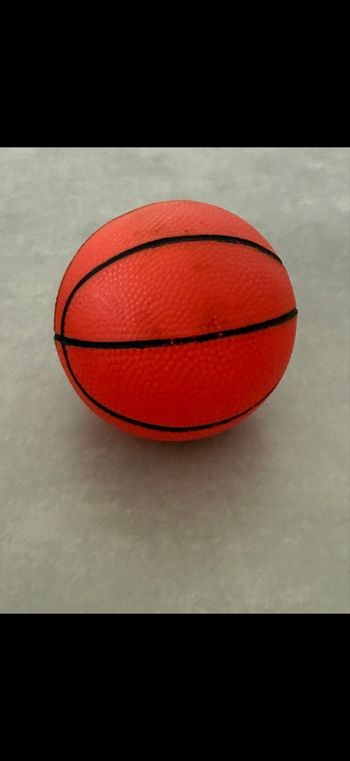 Petit ballon de basket 