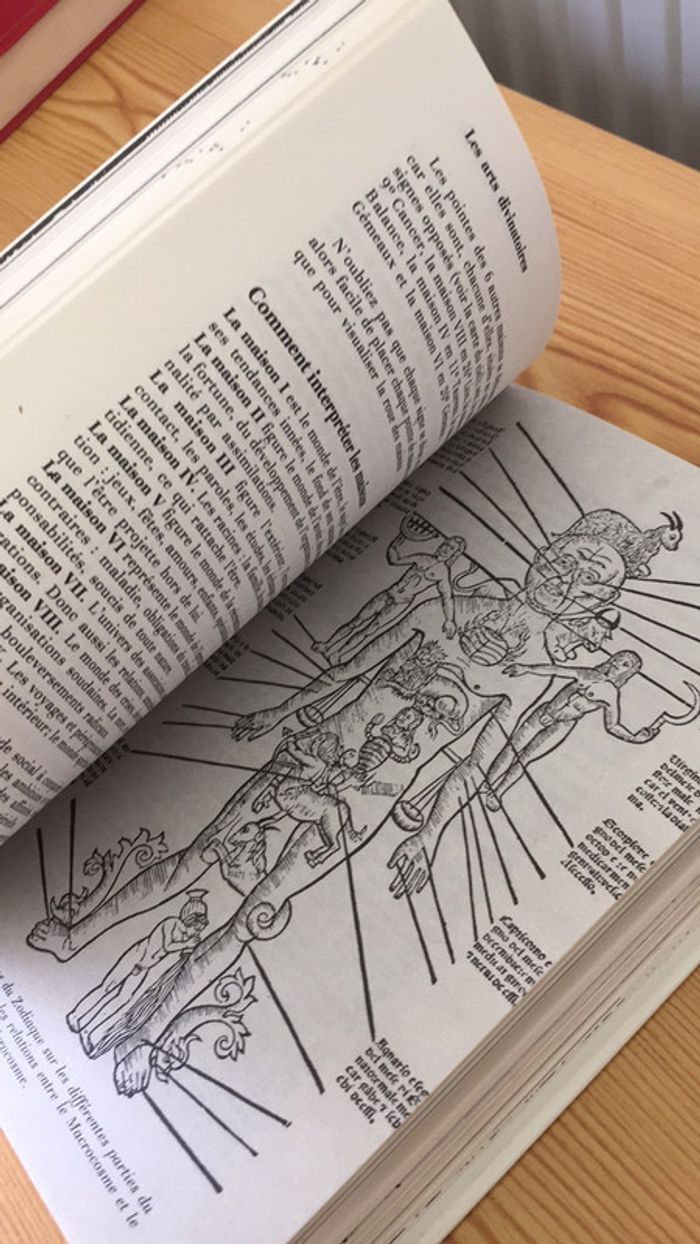 La pratique des arts divinatoires - photo numéro 13