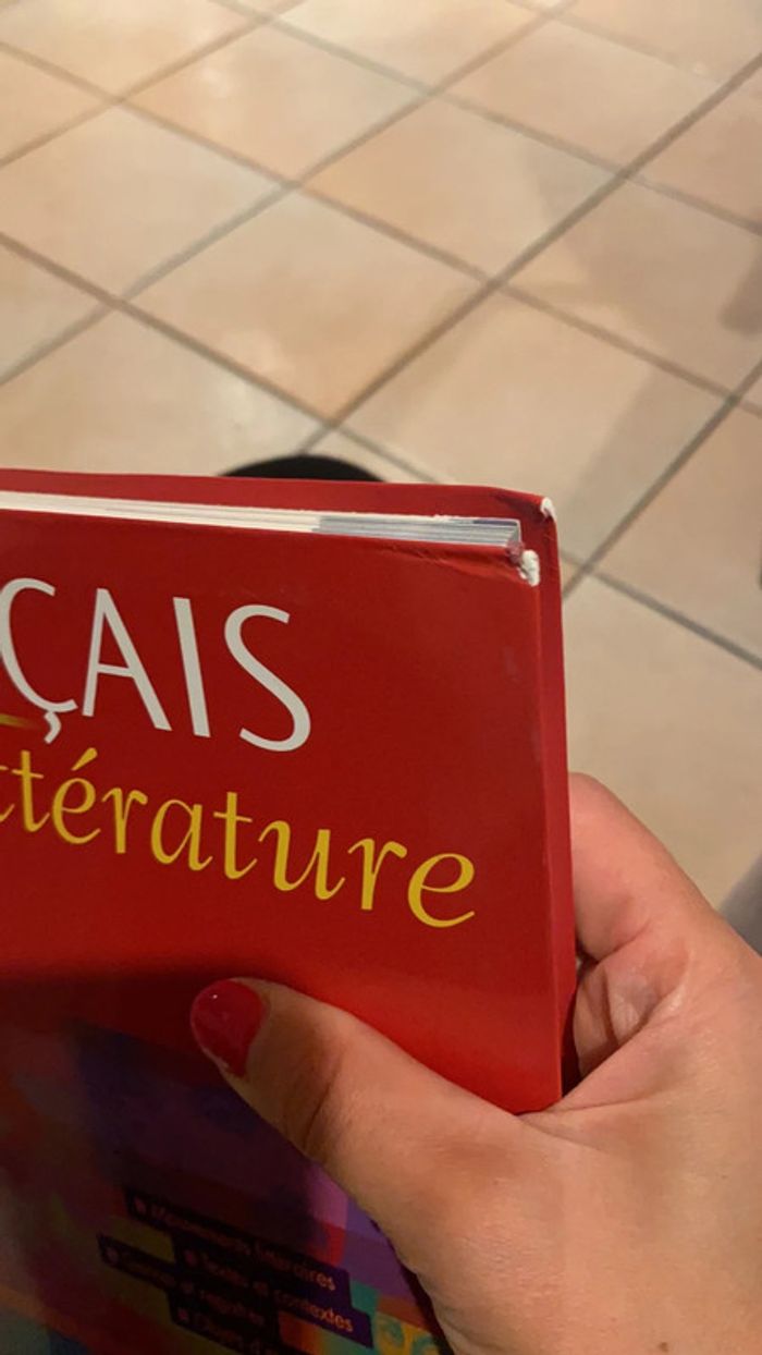 Littérature française - photo numéro 2