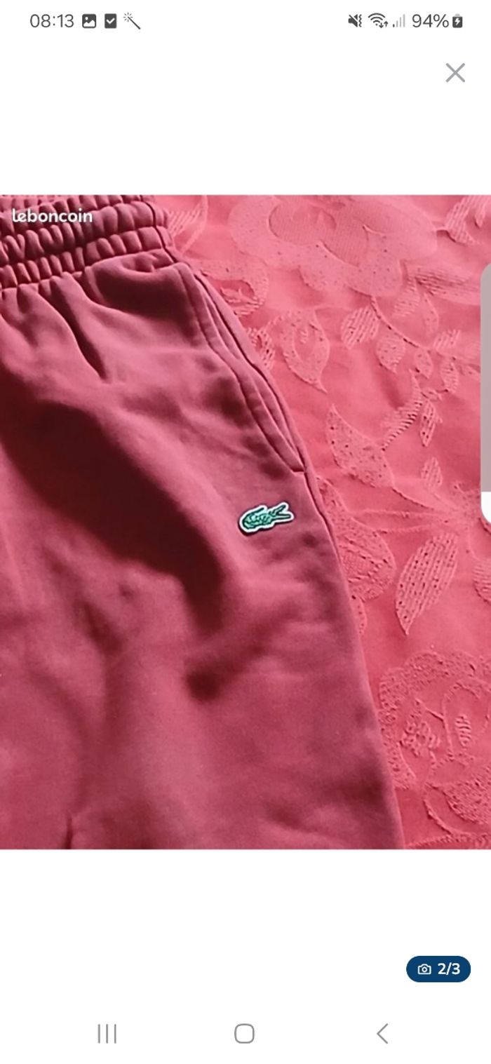 Jogging lacoste - photo numéro 2