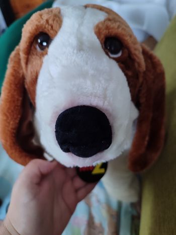 Gros chien teleZ officiel