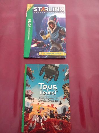 2 livres bibliothèque verte garçon