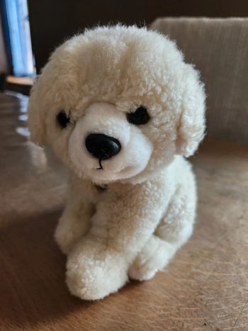Peluche chien