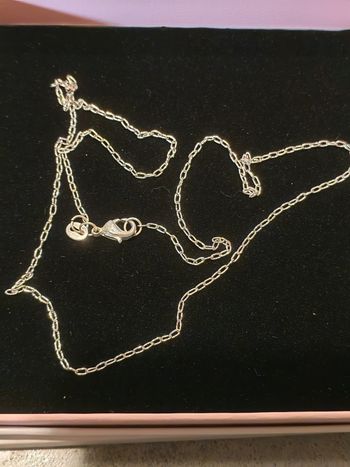 Chaîne mailles força 