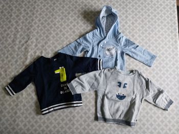 Lot 3 Pulls & Gilet à Capuche 9 mois Garçon - Orchestra & Obaïbi (Excellent État)