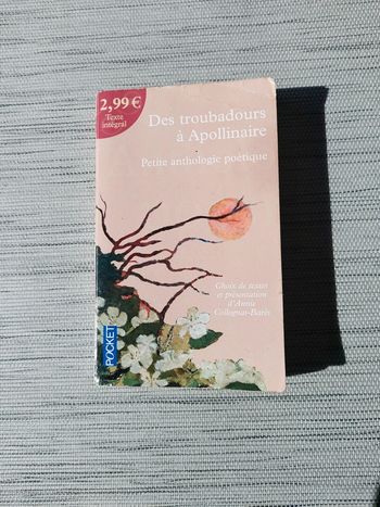 Des troubadours à Apollinaire