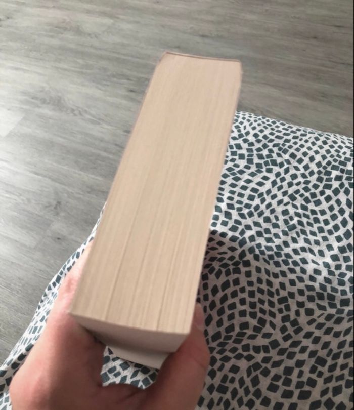 Dancing with the devil - photo numéro 8