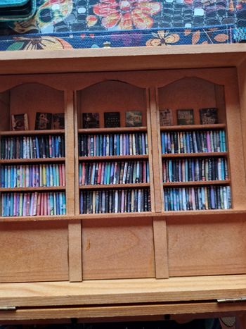 Mini bibliothèque