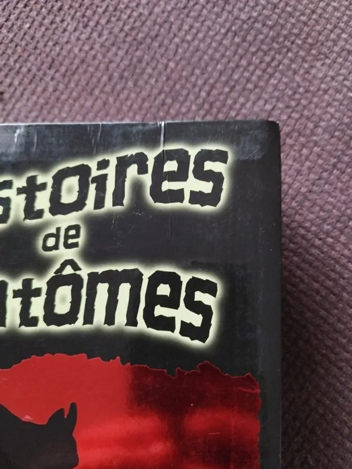 Livre histoire de fantômes - photo numéro 7