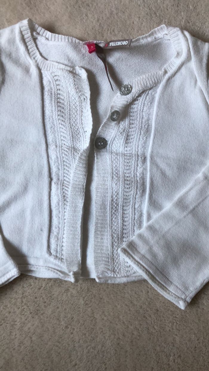 Gilet - photo numéro 2