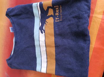 Tee shirt