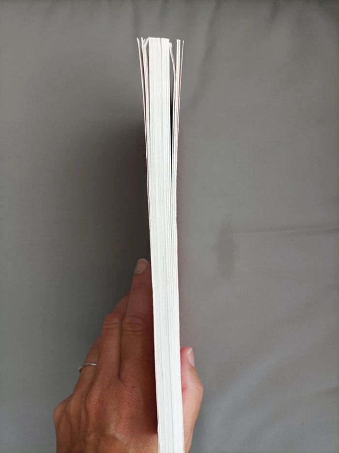 Livre d étude sur "Women in love" de D.H. Lawrence - photo numéro 3