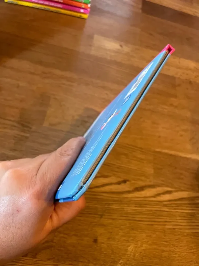 Livre P’tit Loup devient grand frère - photo numéro 6