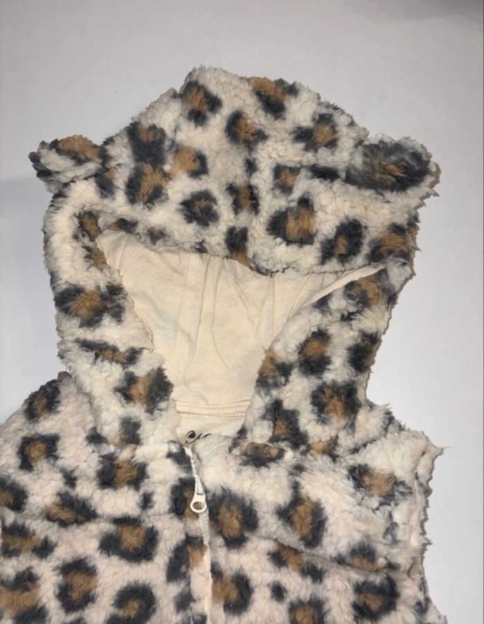 Veste - photo numéro 4