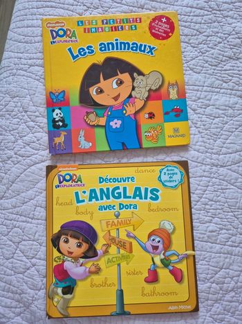 Livres enfants - lot Dora l'exploratrice 2 - Nickelodeon