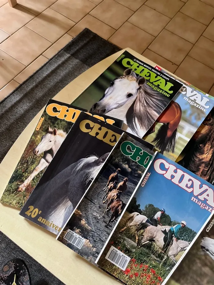 Lot de 10 anciens magazines sur les chevaux - photo numéro 4