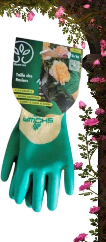 Gants pour taille de rosiers - Taille M - GammVert