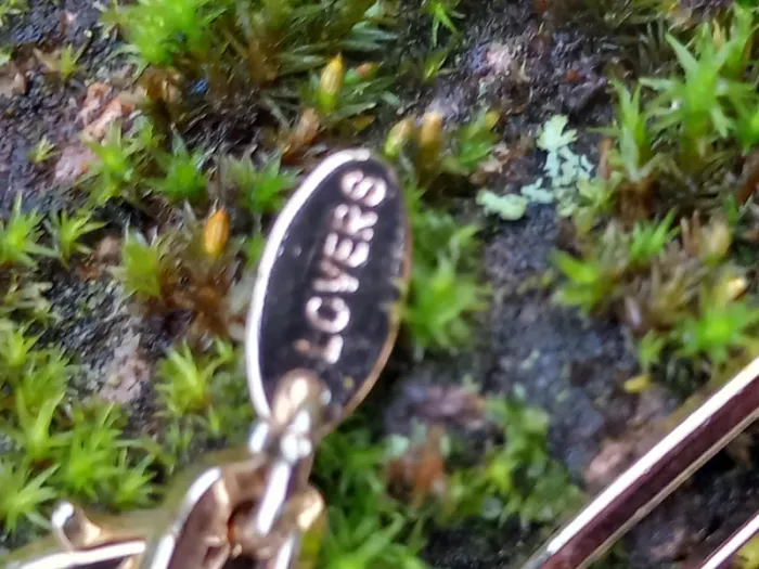 Collier en stainless steel doré liars ans lover - photo numéro 8
