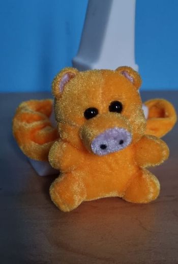 Chouchou cochon 🐷