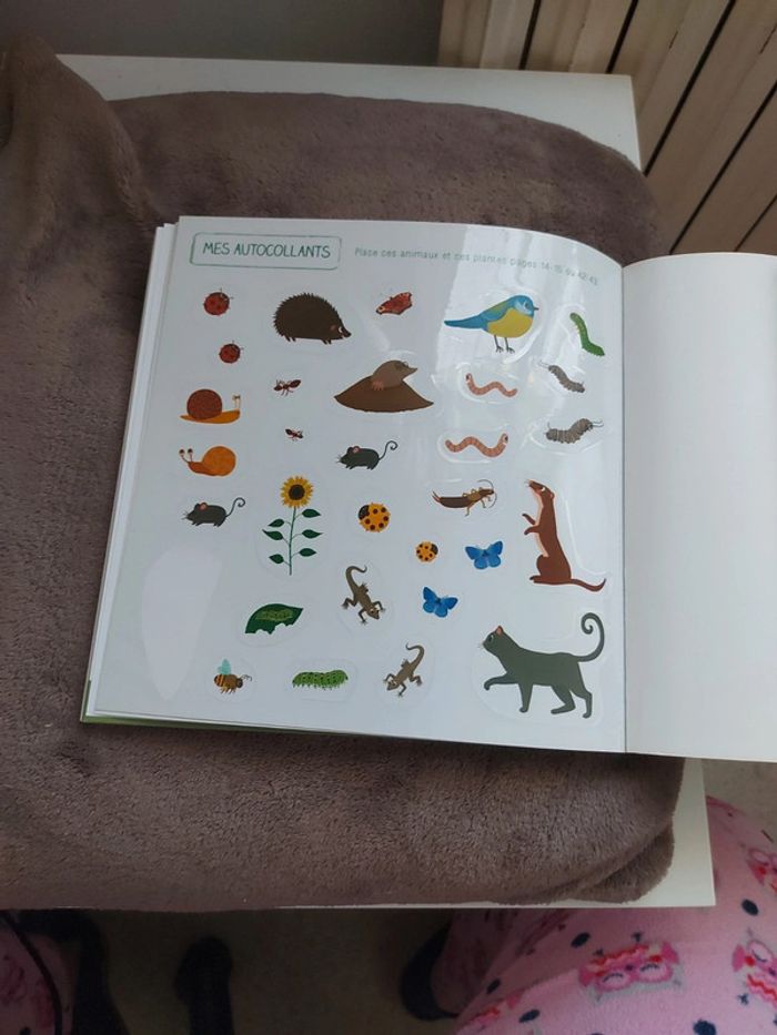 Les petites bêtes du jardin - photo numéro 4