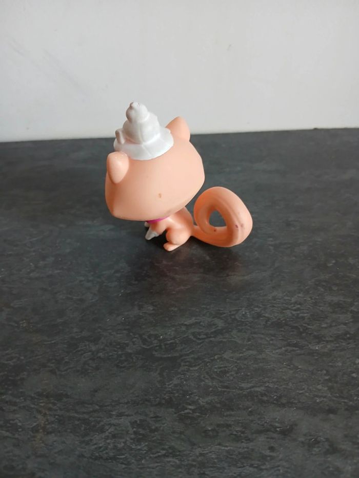 Chat Petshop - photo numéro 2