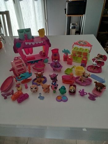 Gros lot de Petshop