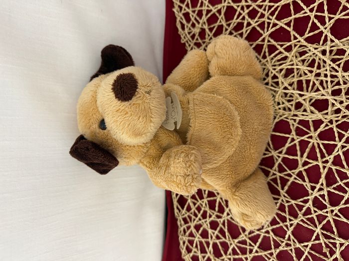 Histoire D' Ours Marionnette Chien