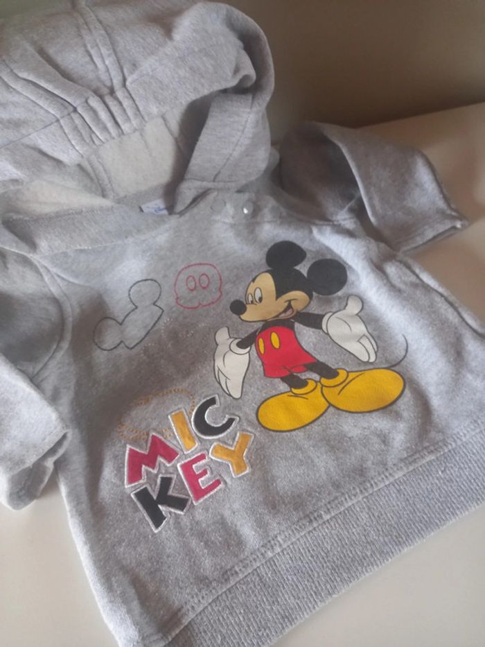 Pull à capuche disney 24 mois - photo numéro 2