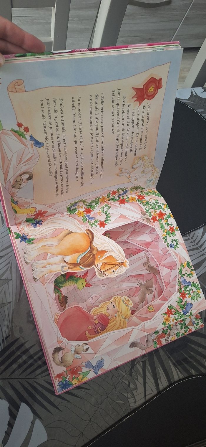 Livre la petite princesse et les poneys magique - photo numéro 4